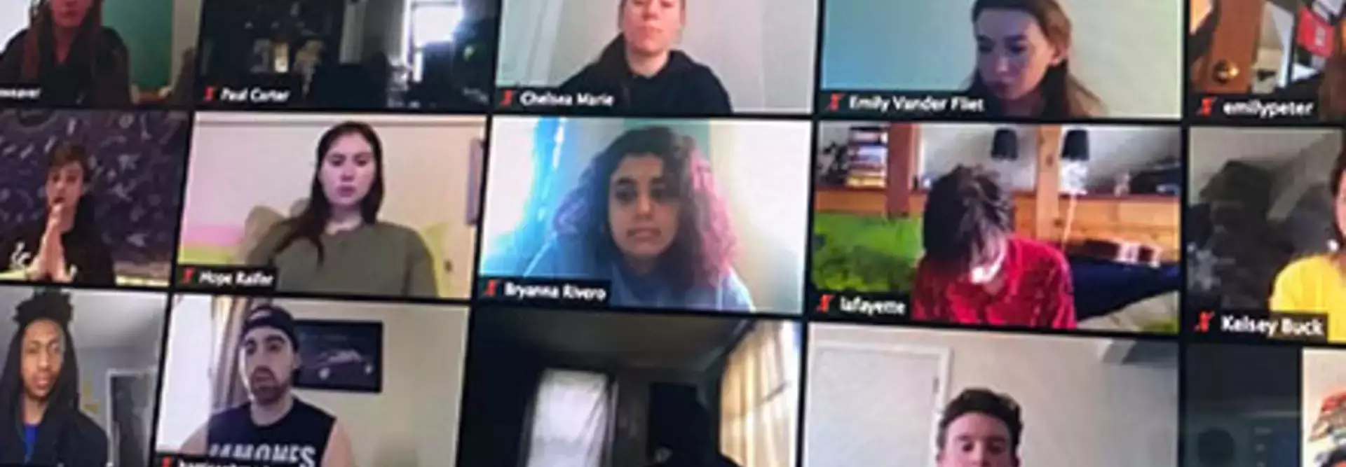 Zoom screenshot