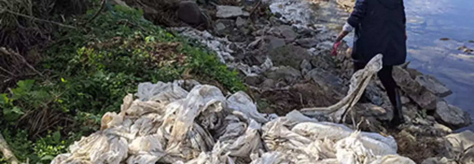 Calhoun Creek Cleanup