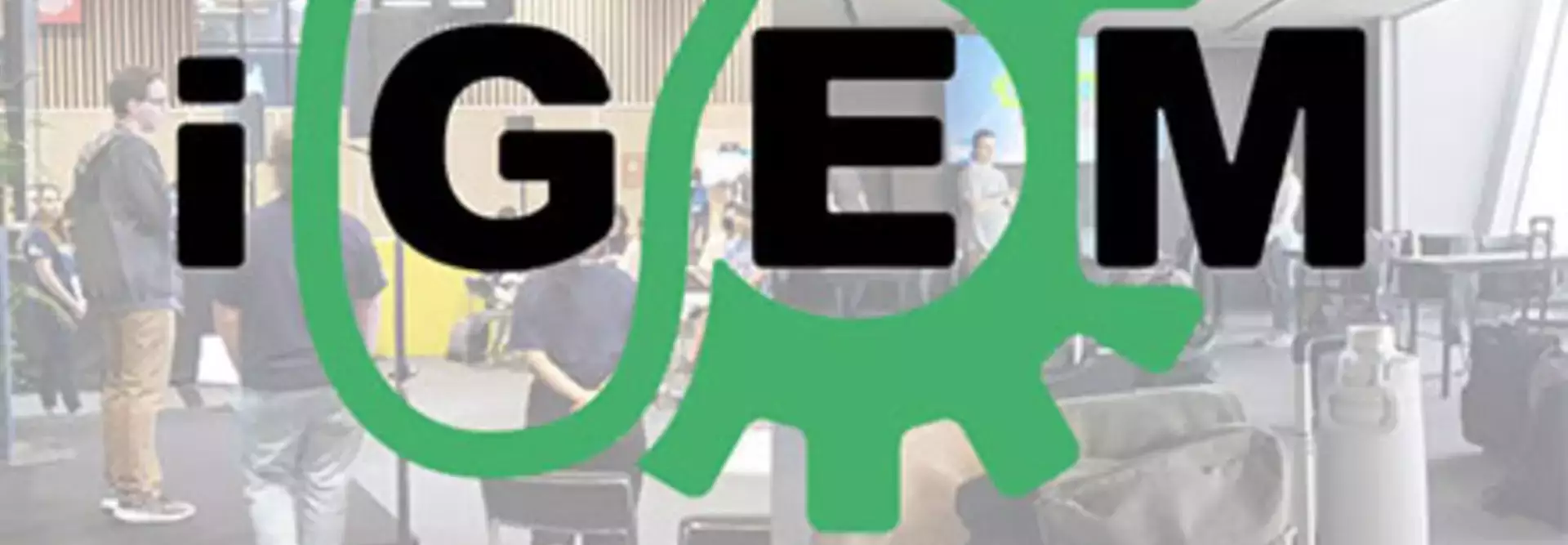 iGEM Silver