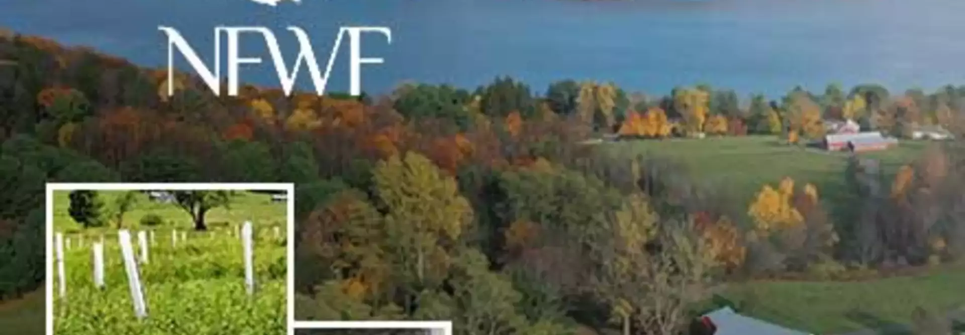 Partnership Plants 2,000 Trees to Lower Cyanobacteria Bloom Growth
