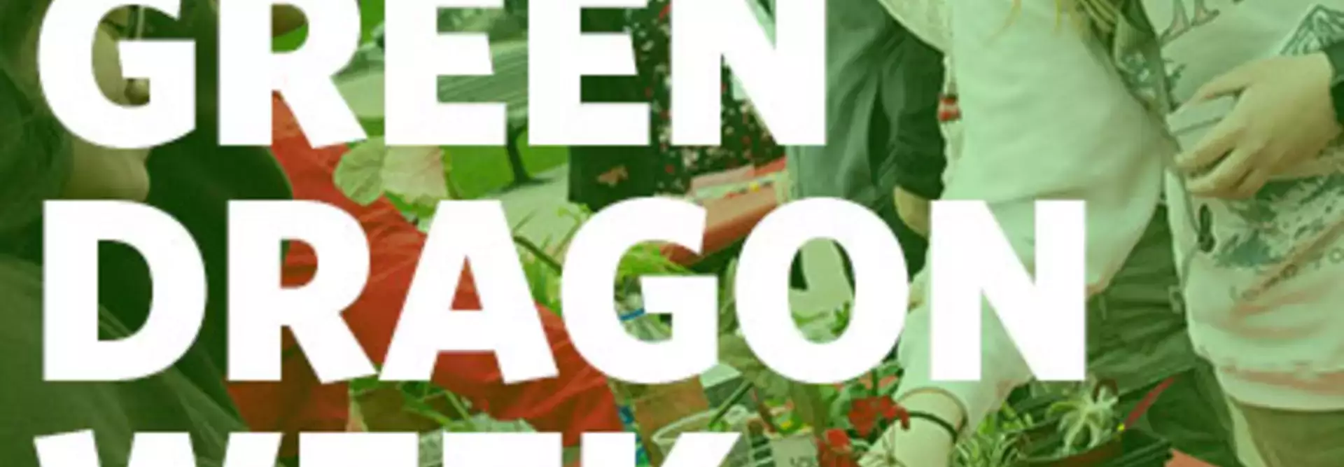 Green Dragon Week