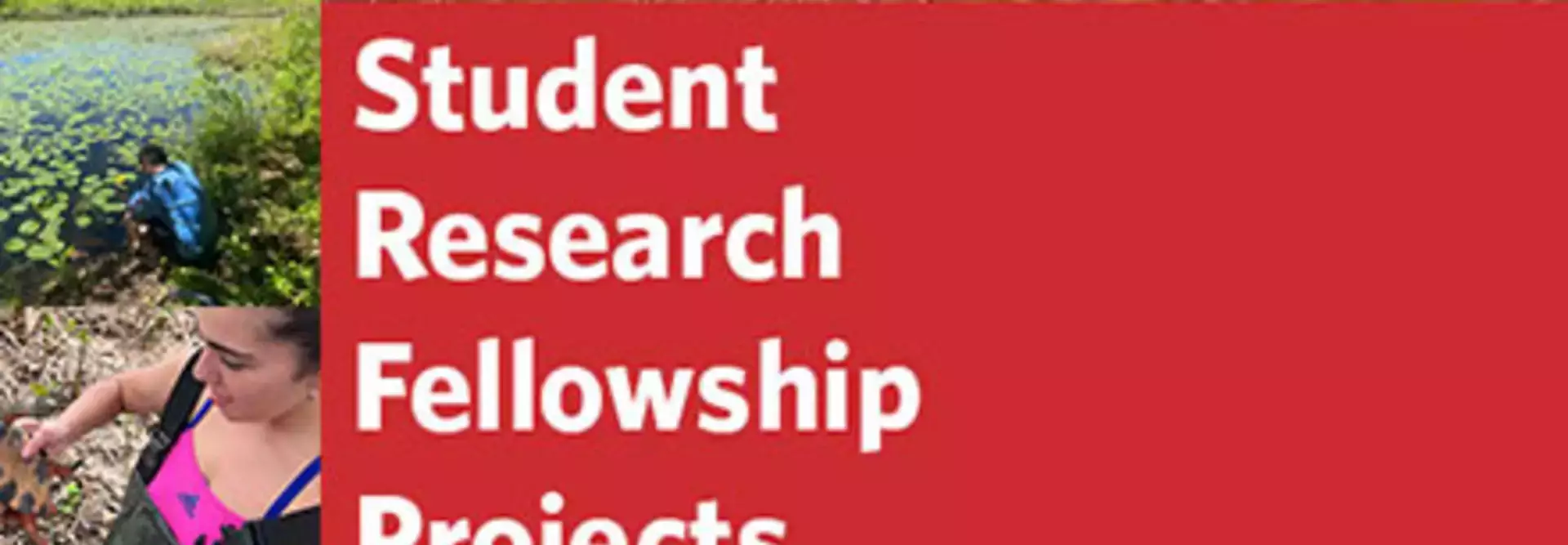 2024 Student Research Fellowship Projects