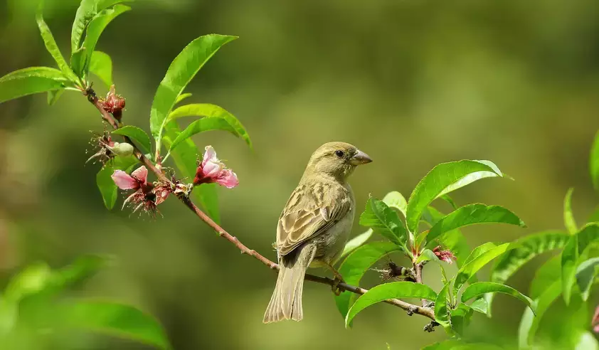 test image
