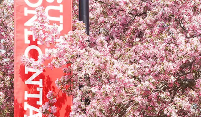 pink flowers and SUNY Oneonta sign
