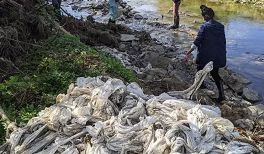 Calhoun Creek Cleanup