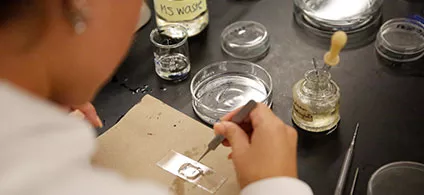 M.S. Biology