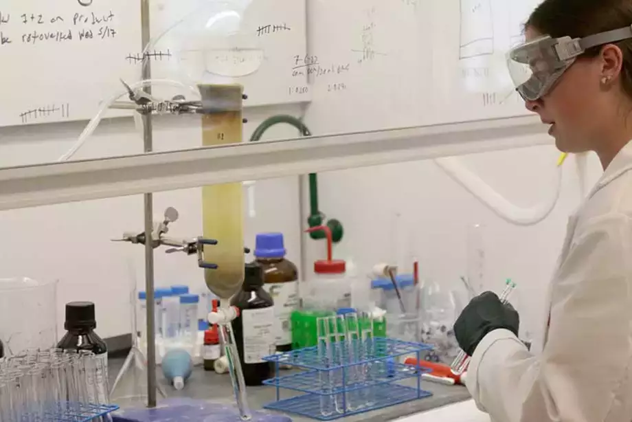 Synthesis of Melicopteline Derivatives