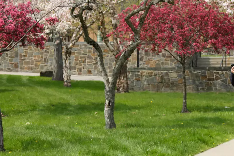 Spring at SUNY Oneonta