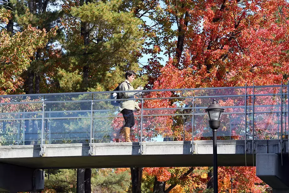 Student walking along the bridge to Fitzelle Hall in the Fall.