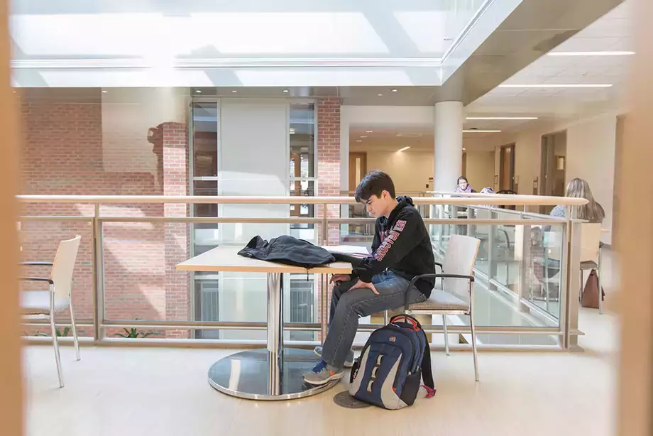 Student studying in the top hall lounge in Fitzelle Hall.