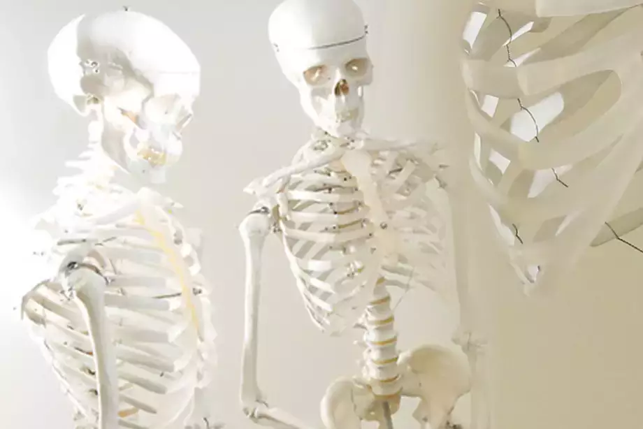 Pre-Chiropractic