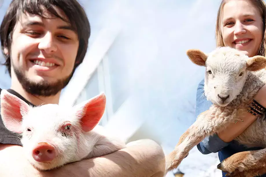Pre-Veterinary Medicine