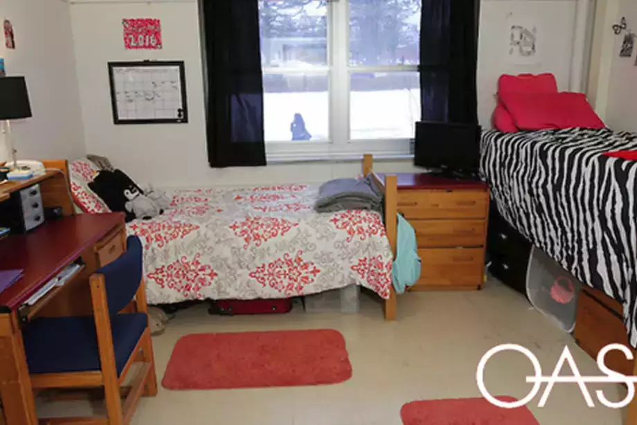 Comfy looking dorm with two beds