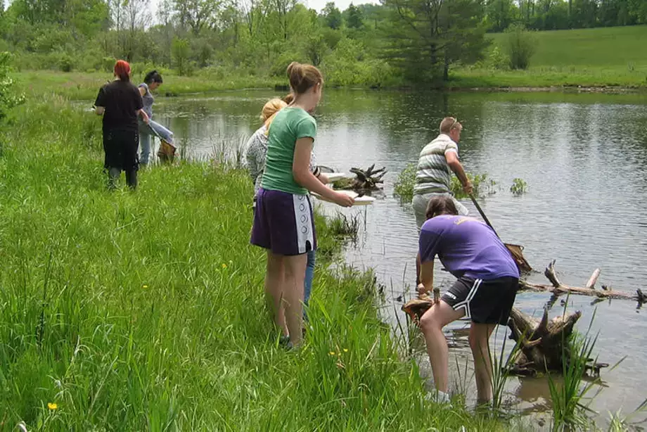 Students during Internship