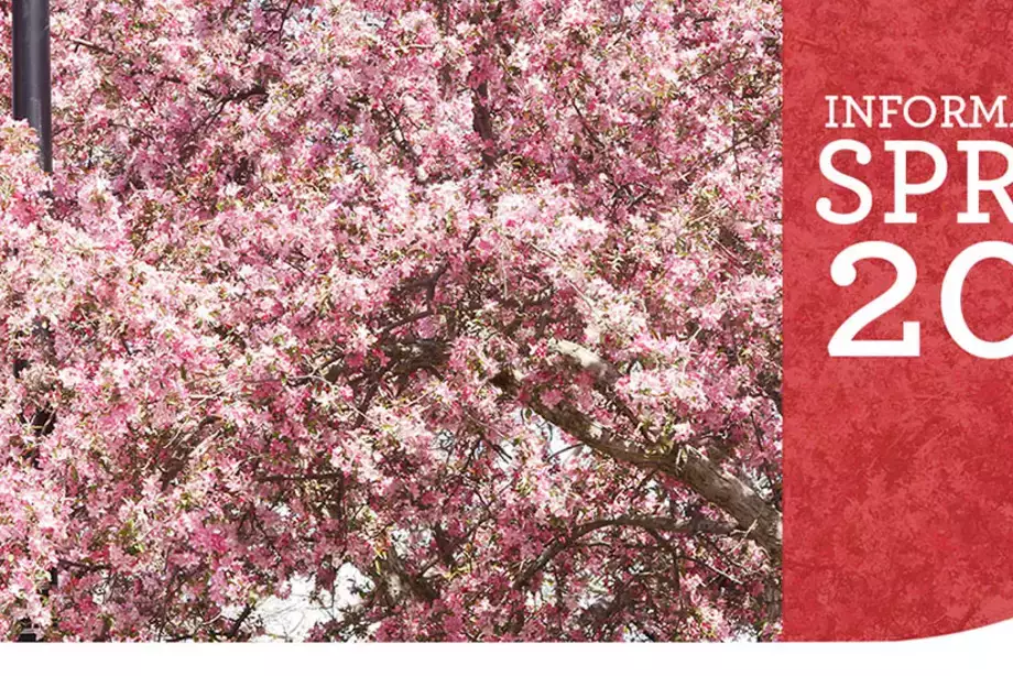 pink flowers and SUNY Oneonta sign