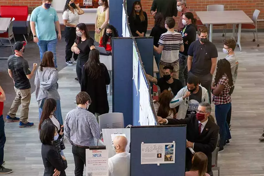 Summer Research Projects Slider