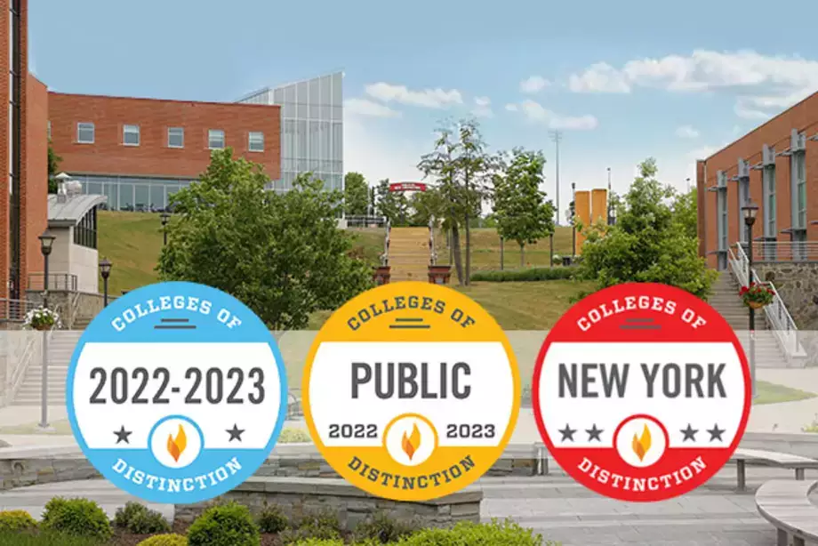 College of Distinction
