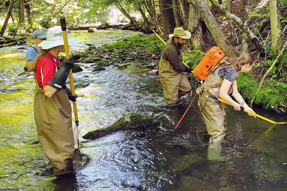 Field Entomology students