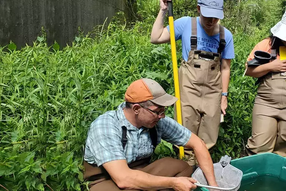 Field Entomology students