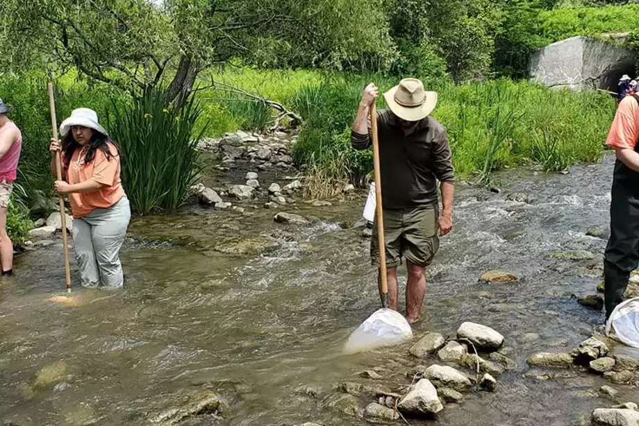 Field Entomology students