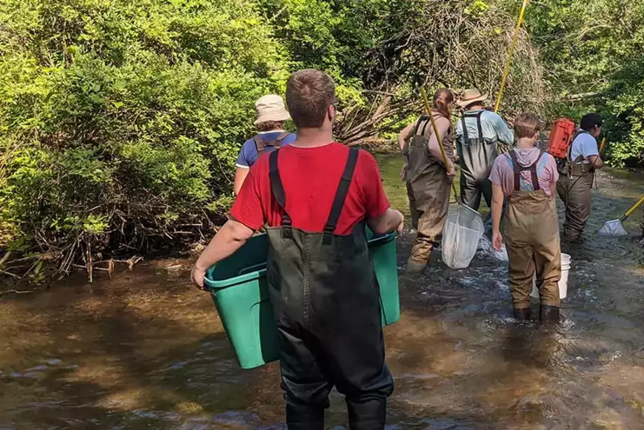 Field Entomology students