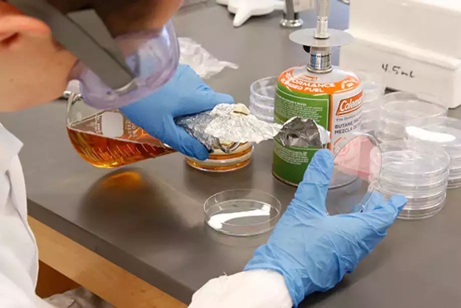 iGEM