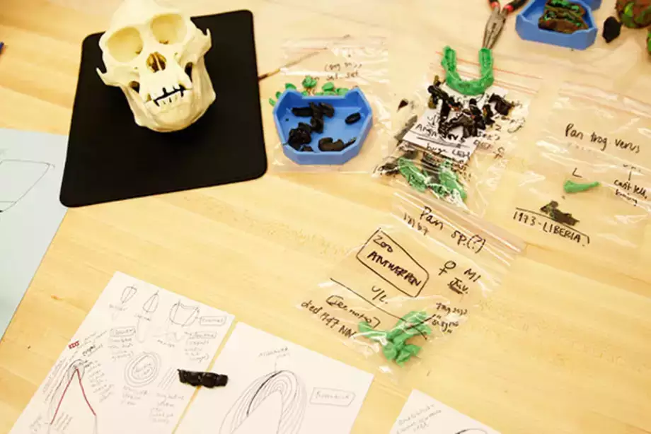 3D Enamel Profilometry Research