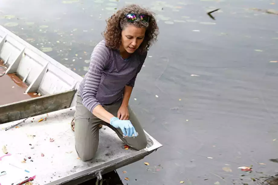 Testing for Harmful Algal Blooms