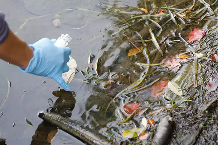 Testing for Harmful Algal Blooms