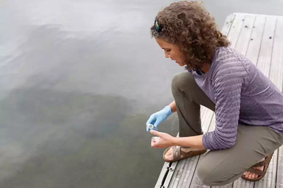 Testing for Harmful Algal Blooms