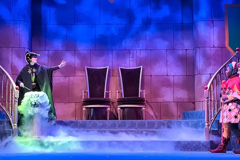 Once Upon a Mattress