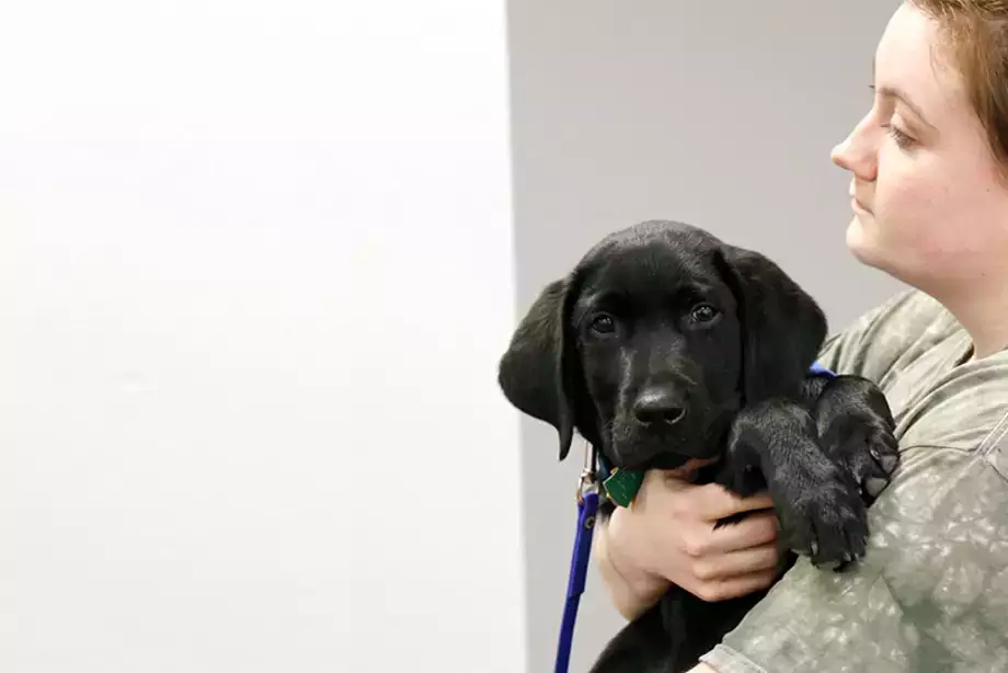 Student holding Puppy