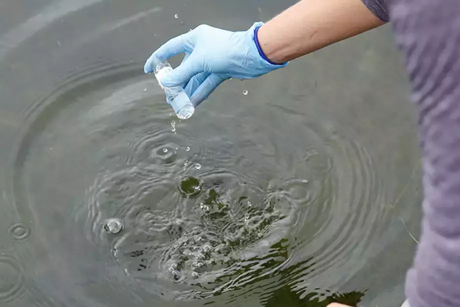 testing for harmful algal blooms (HABs) 