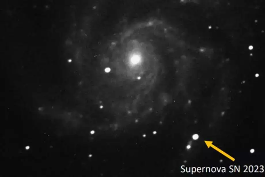 Supernova Imaging in the Pinwheel Galaxy 