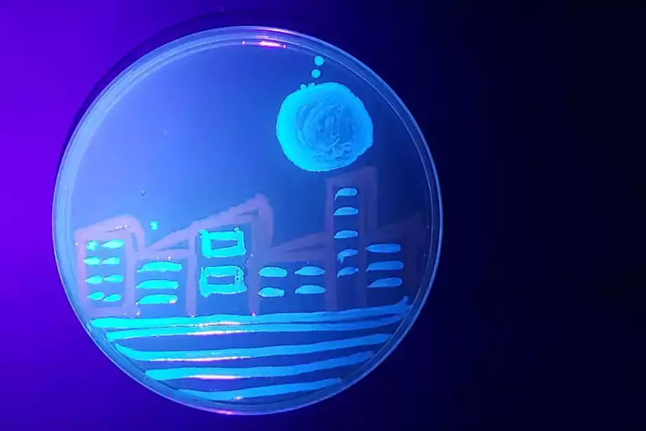 The moon over a city painted with fluorescent bacteris