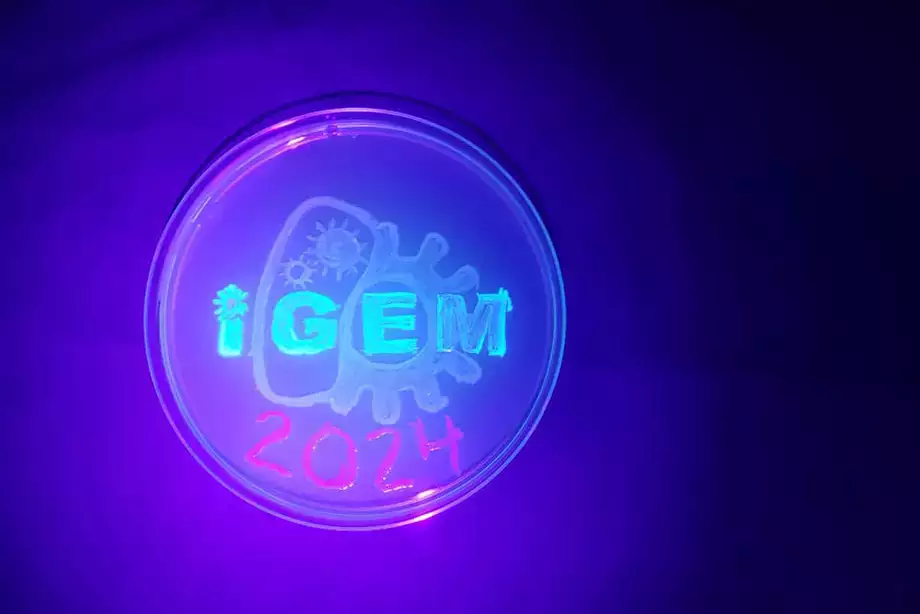 igem logo painted with fluorescent bacteria