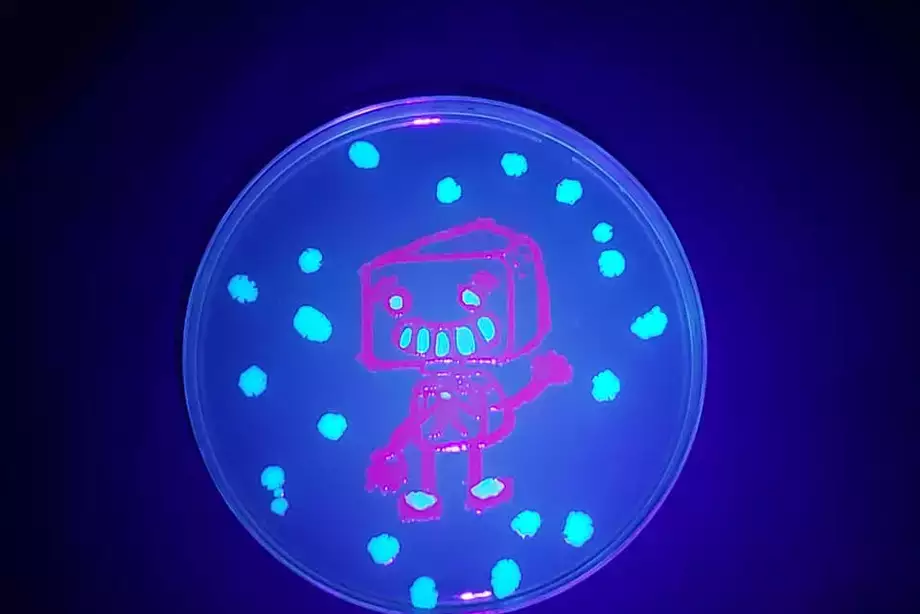 A robot painted with fluorescent bacteria