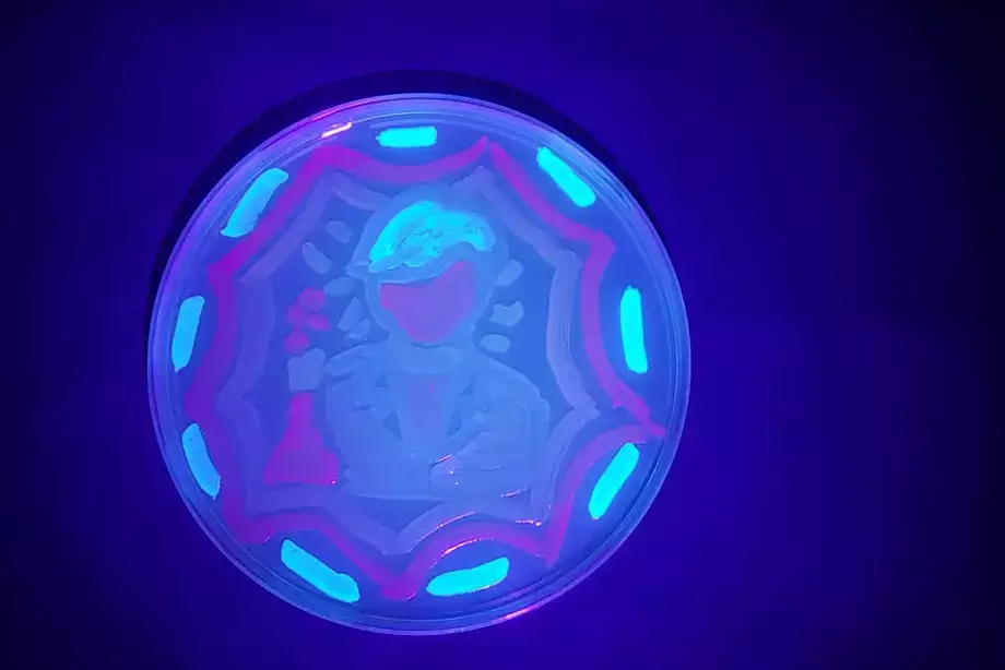 A scientist painted with fluorescent bacteria