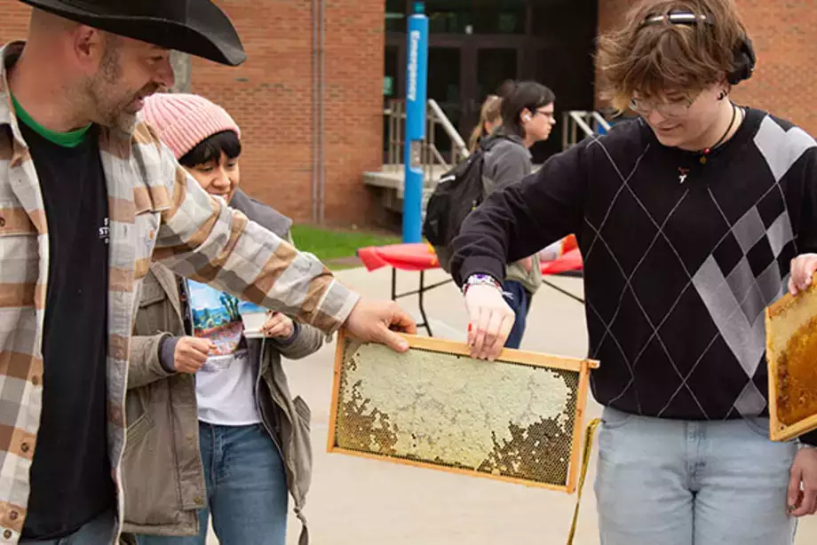 Honey exhibit green dragon week