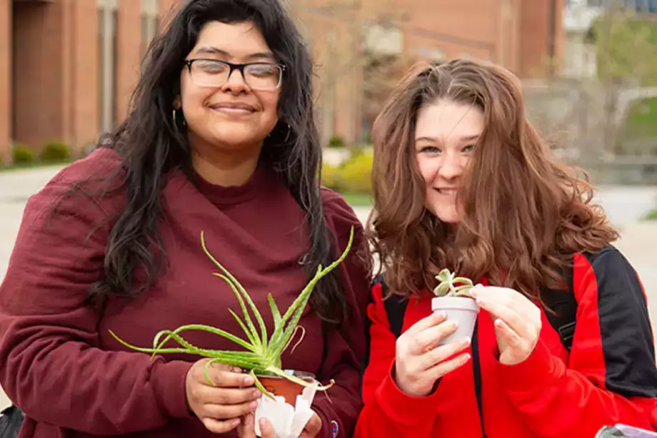 Planting in the quad