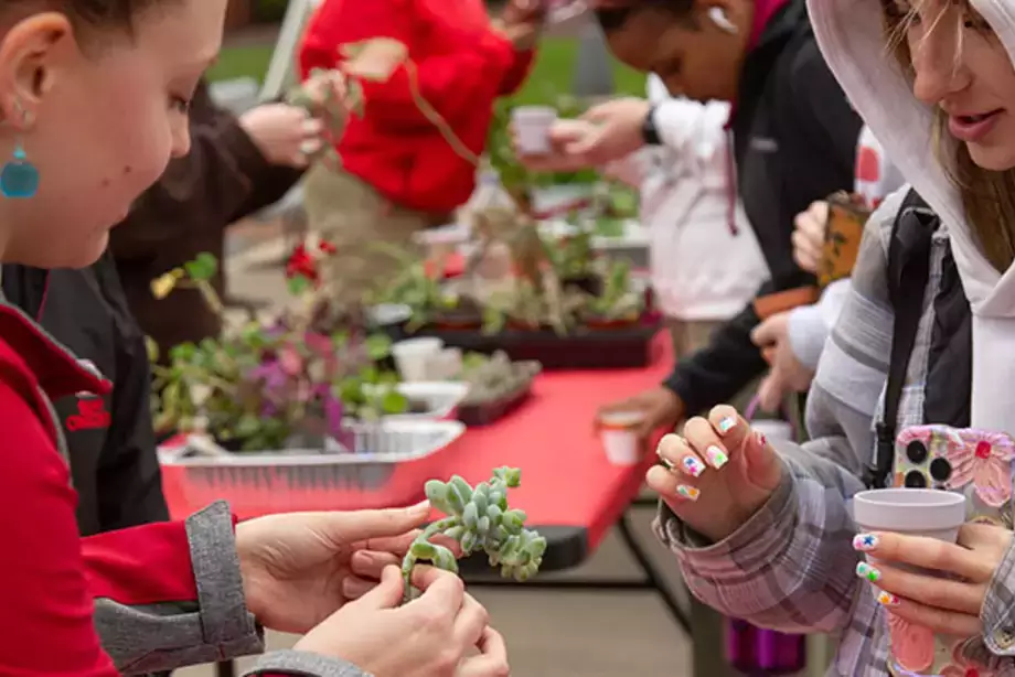 Planting in the quad