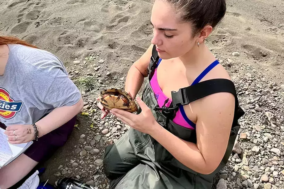 Habitat Selection of Wood Turtles