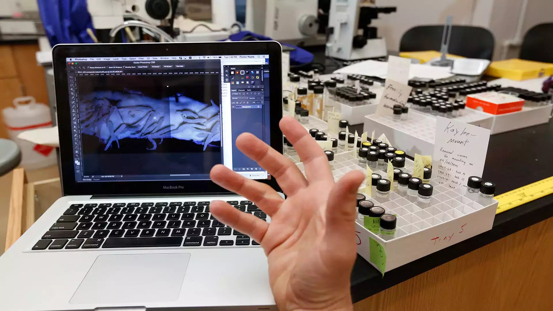 Biology students work on research projects in Associate Professor Florian Reyda’s research lab at the Biological Field Station