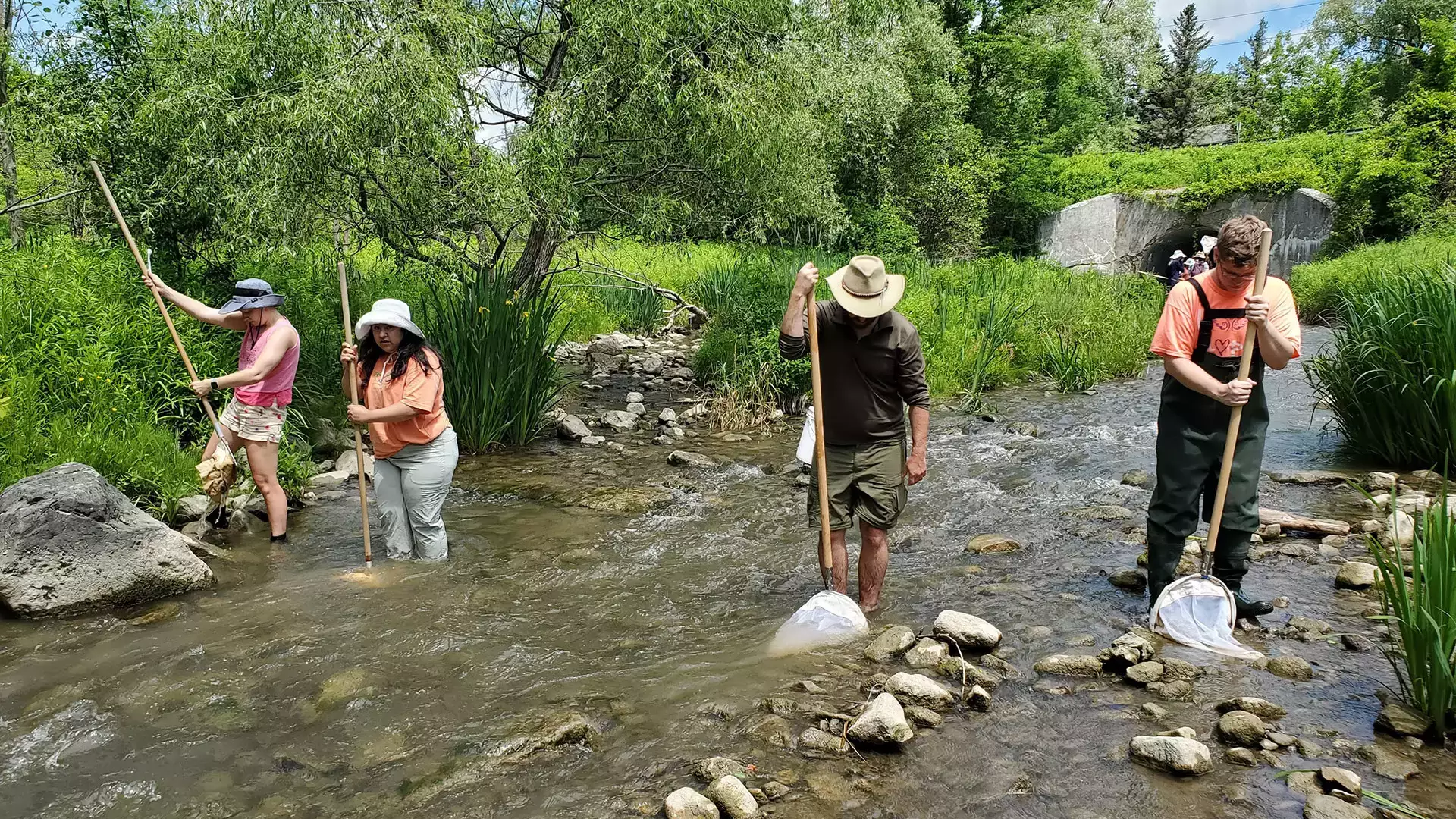 Field experience let students learn first-hand about the ecology of streams and rivers