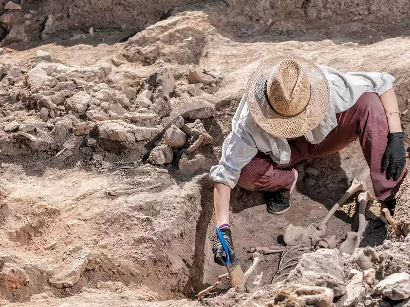 Archaeologist working in the field to uncover artifacts