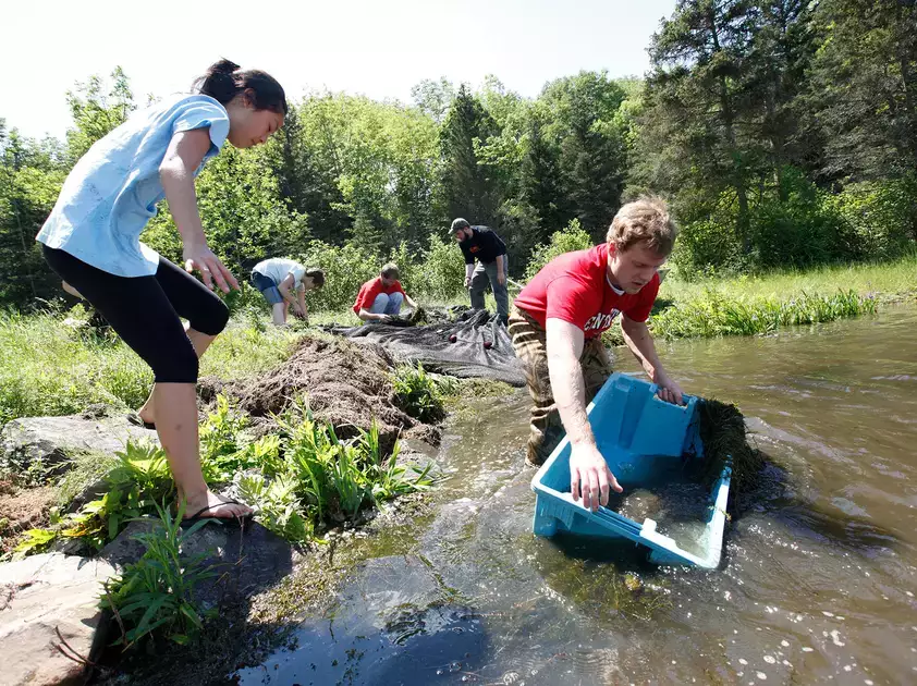 Interns collect fish samples to study water quality